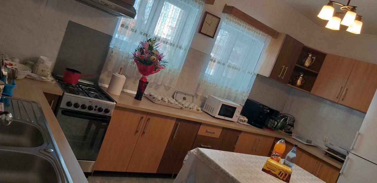 Săpînţa Pensiunea Casa Stet Toader Iulian מראה חיצוני תמונה